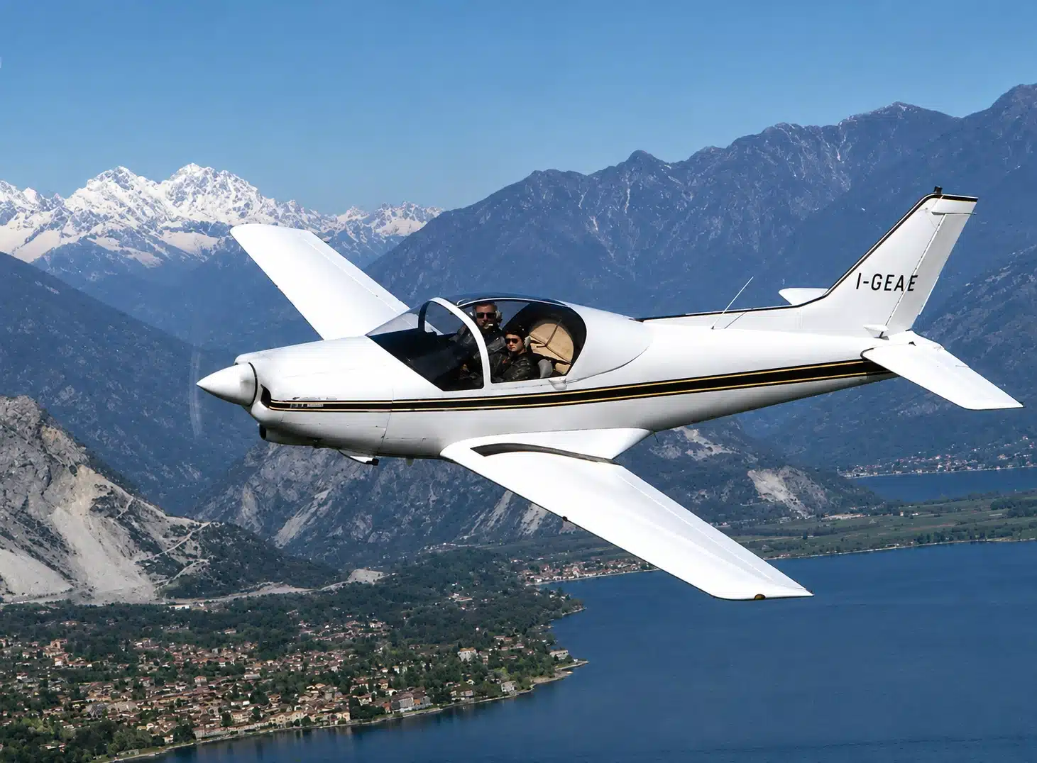 F.22 Pinguino